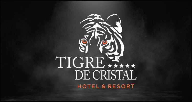 Summit Ascent Holdings Limited delays planned Tigre De Cristal expansion